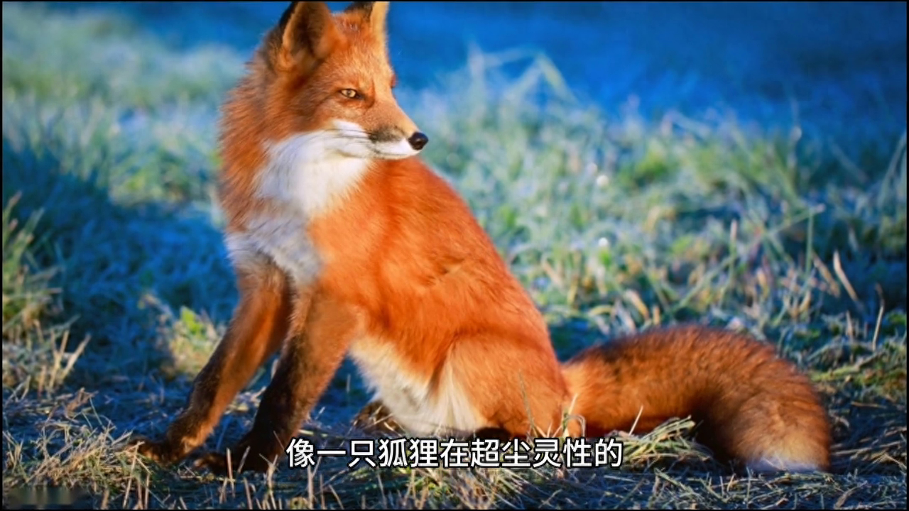 一个人