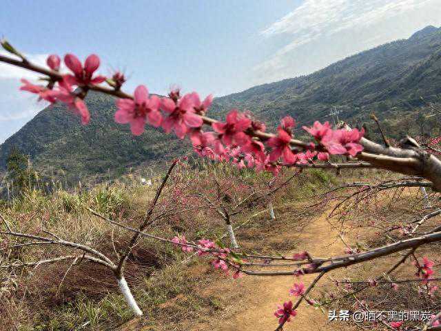 限时免费！万人追捧价值68元特别好评游戏免费开玩！时间不多了