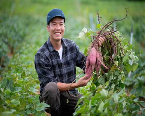 雷神ZERO游戏本评测：新外观设计+拔尖配置，带来全能表现