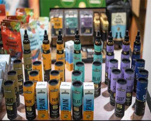 正版授权《蜡笔小新天天向上》进军休闲手游