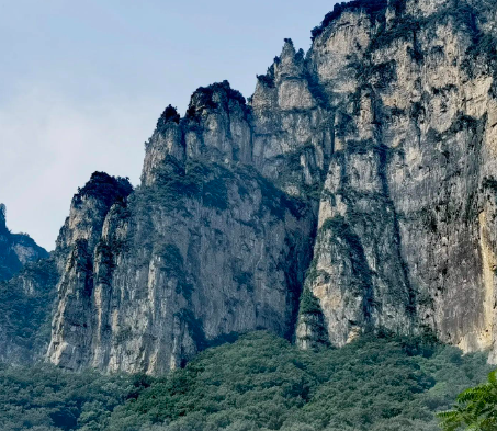 新浪CGWR深度评测专题165期《颓废之心》