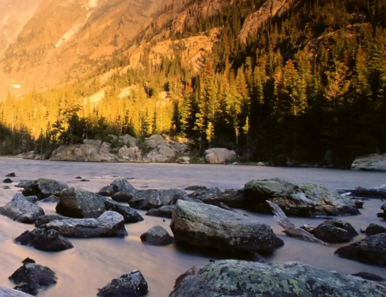 明年单机游戏市场或有望持续走热